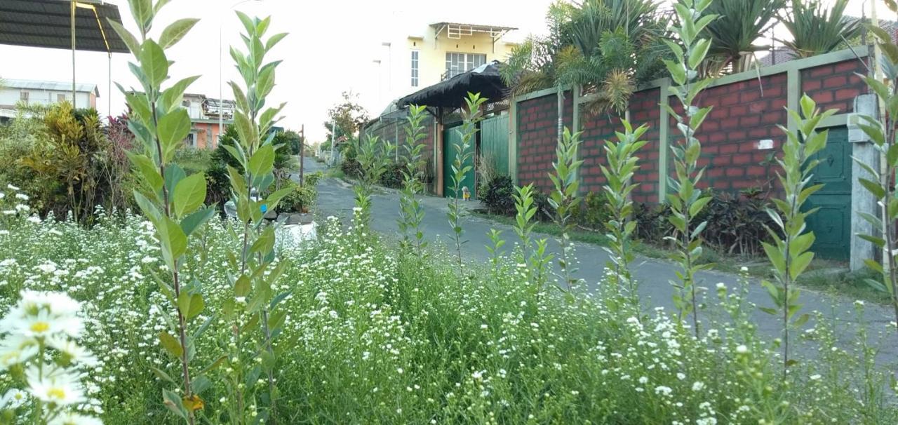 Bliss Family Cottage Batu Batu  Exterior foto